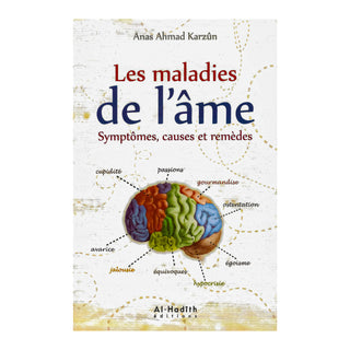 LES MALADIES DE L' ÂME : SYMPTÔMES, CAUSES ET REMEDES